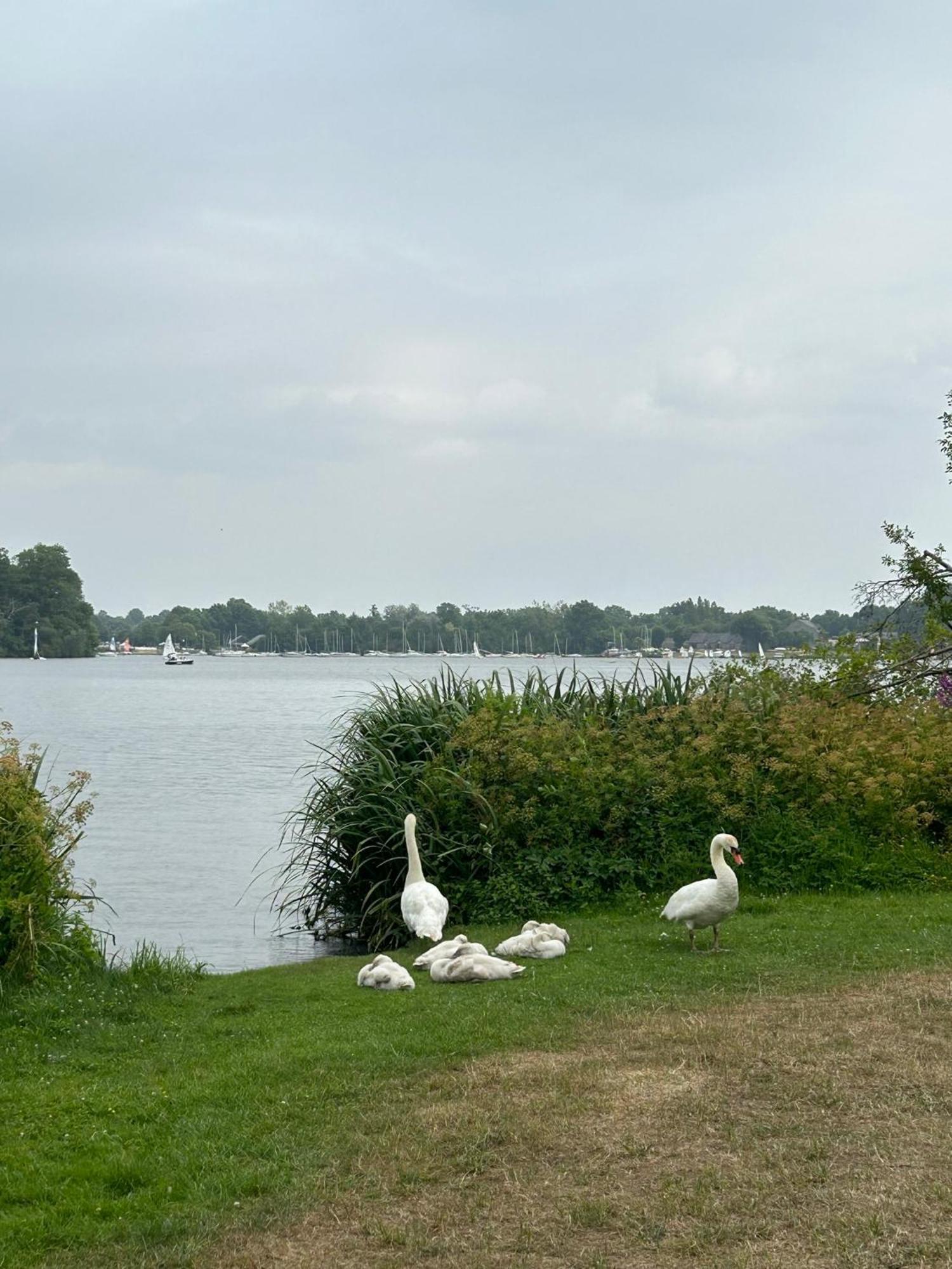 Logement Climatise Erdre Riviere La Chapelle-Sur-Erdre Exterior photo